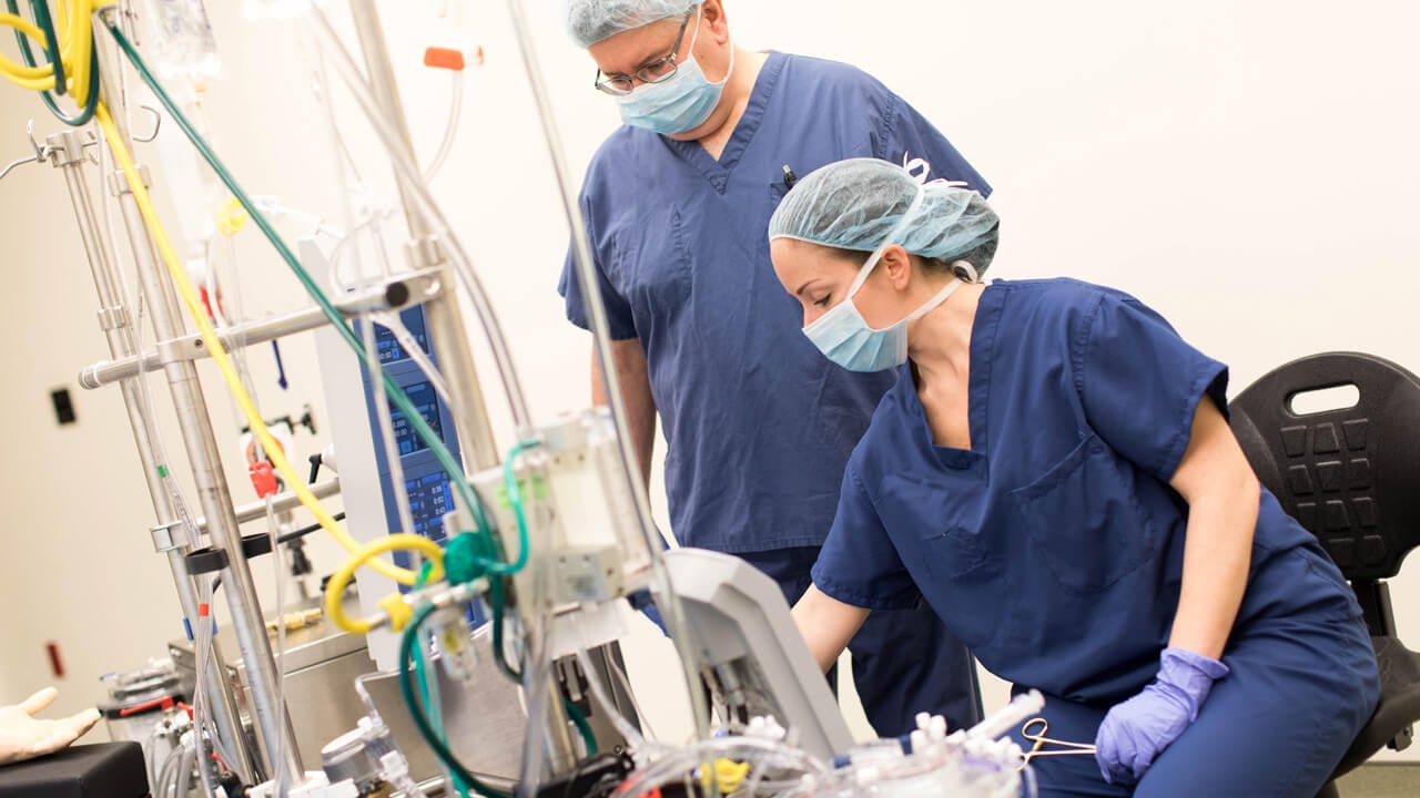 A female student operates cardiovascular perfusion equipment