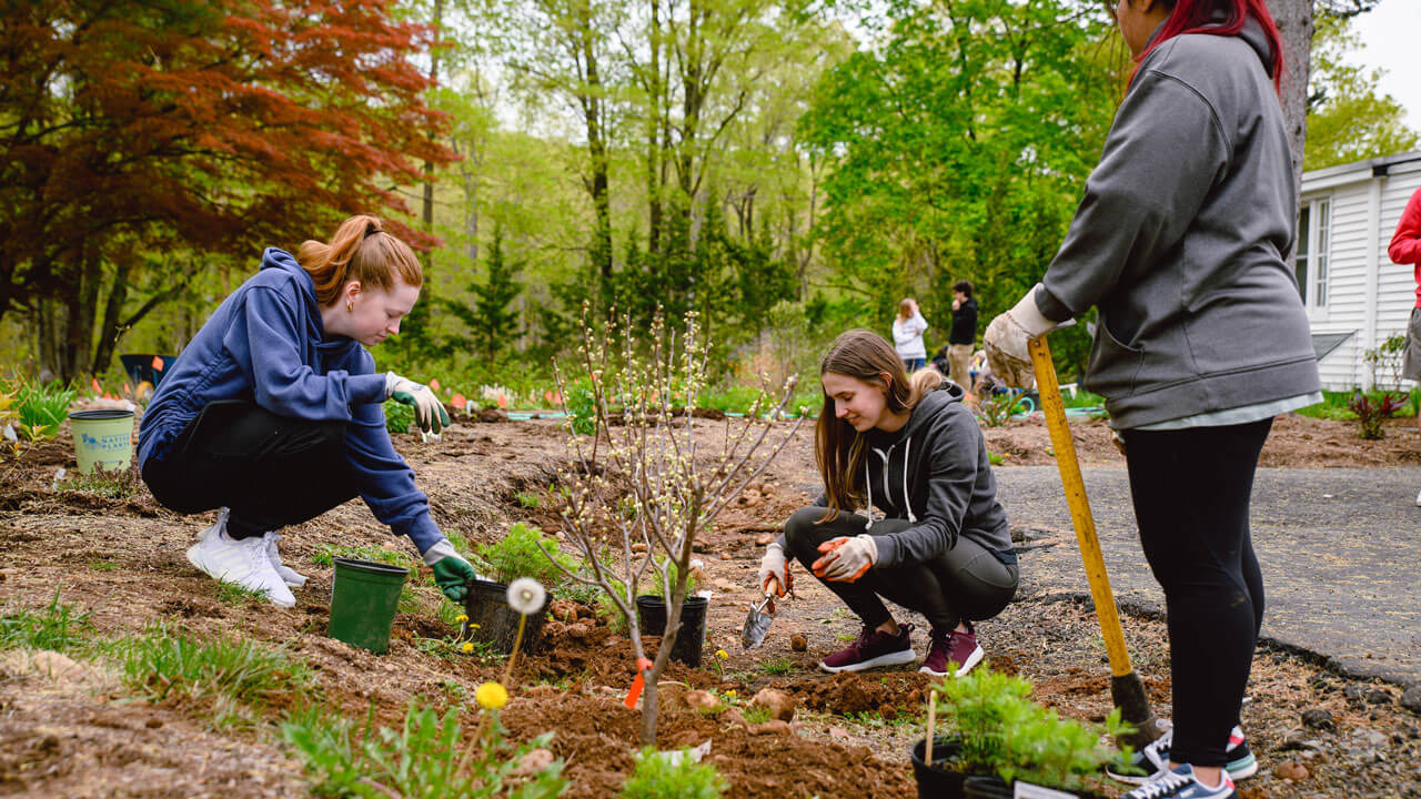 Students use hand shovels to plant