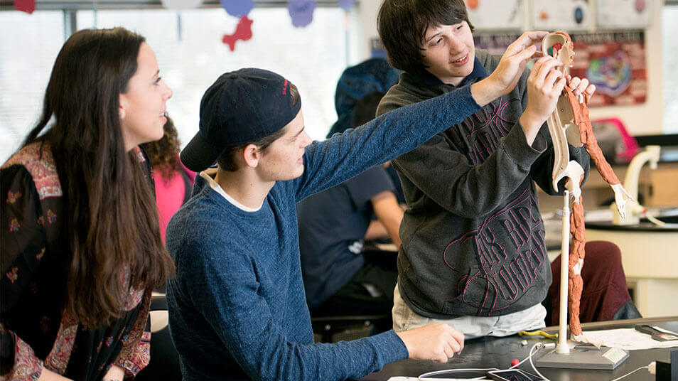A School of Education student assists two high schoolers in creating a human body sculpture during anatomy class