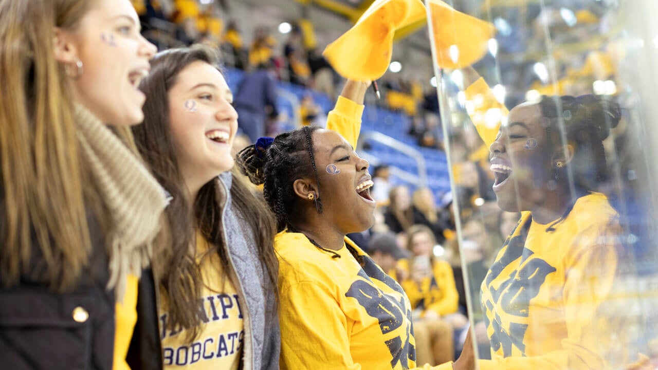 Students wearing Quinnipiac gold cheer on the division I hockey team