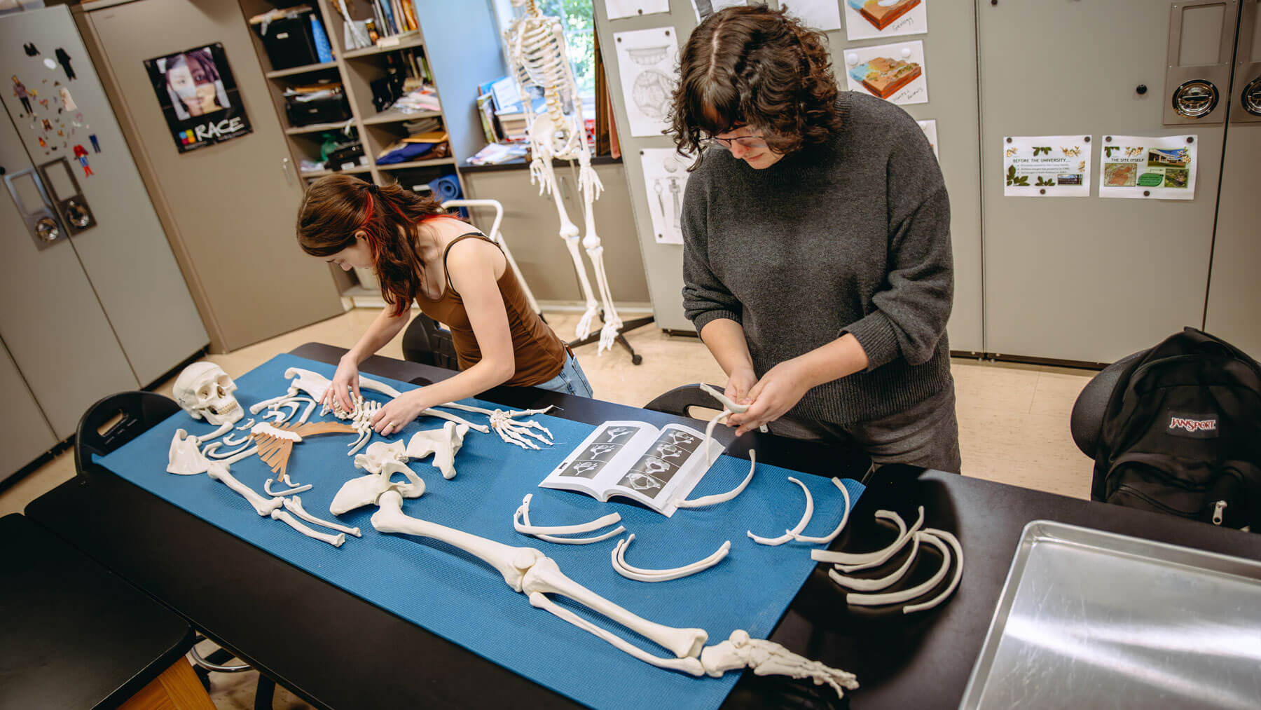 Students assemble a skeleton during a forensic science lab.