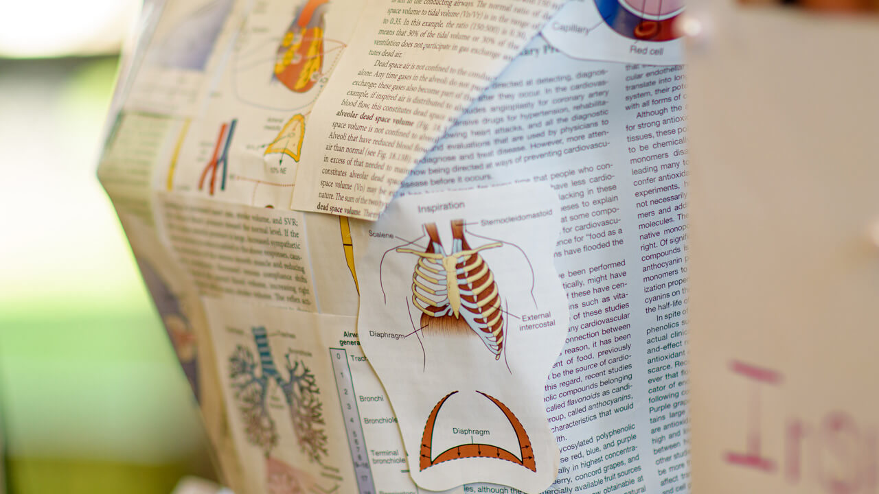 A close up of a dress bust made of anatomy textbook pages