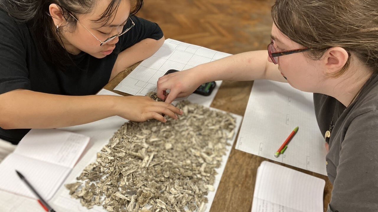 Students examine bones and ash for their research
